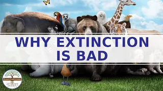 Animal Extinction - Environmental Science Explainer Video