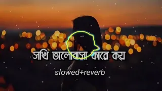 সখি ভালো বাসা কারে কয় (slowed+reverb) Shah Sekantor Lofi Music