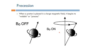 Short Topics in Magnetic Resonance Imaging: Spin Precession (Arabic Narration)