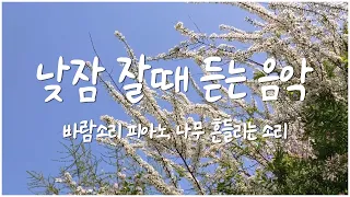 낮잠 잘때 듣는 음악, 낮잠음악 (바람소리 피아노, 숲소리 피아노, 바람소리 asmr, 나무 흔들리는 소리, 나무 흔들리는 영상, 바람에 흔들리는 나무, 흔들리는 꽃)