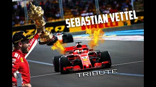 F1 2020 - Sebastian Vettel Tribute -  Born To Be champion