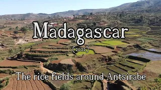 25.  Antsirabe ricefields (drone, 4K) - Madagascar 2022