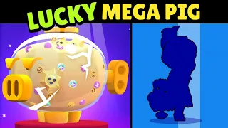 Massive LUCKY Mega Pig Openings!