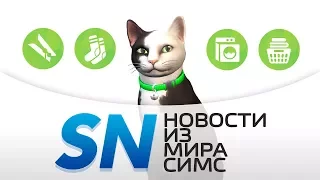 #SIMSNEWS | Подробности «The Sims 4 Кошки и собаки» и «The Sims 4 День стирки»