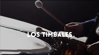 Los timbales. Por: Juan David Forero, percusionista de la Orquesta Sinfónica Nacional de Colombia