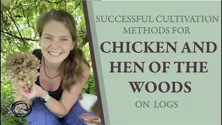 Successful Cultivation Methods for Hen and Chicken of the Woods on Logs