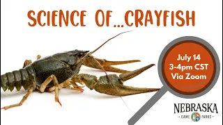 Science of...Crayfish