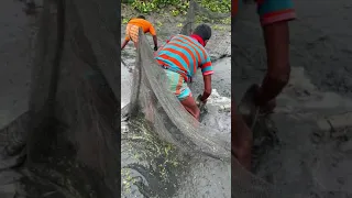 Wow amazing net fishing video