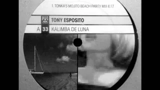 tony esposito -  kalimba de luna dj tonka mix