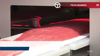 How Fish Is Made (salmon assembly)