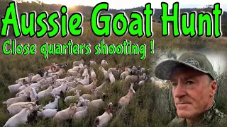 Out Chasing Feral Goats || Game On