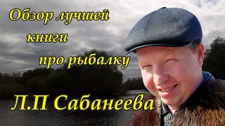 Обзор книги Сабанеева