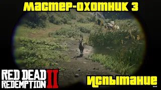 Прохождение RDR 2 на 100% - Испытание: Мастер-охотник 3 (Глава 2 - Нагорье Подкова)