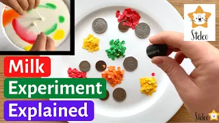 Milk & Food Coloring Experiment EXPLAINED in Easy Terms | Milk Science Experiment for Preschool