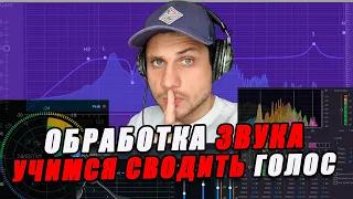 Всё об обработке голоса в Adobe Premiere Pro! Полный разбор всех нужных плагинов!