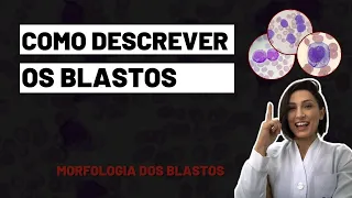 Como descrever os Blastos - Morfologia dos blastos #biomedicina