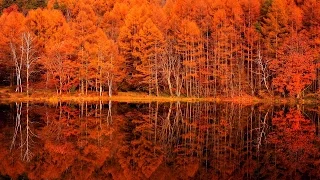 4K映像 絶景紅葉「晩秋の御射鹿池」奥蓼科の落日 日本の美しい四季 長野県茅野市 10月下旬 自然風景 G線上のアリア