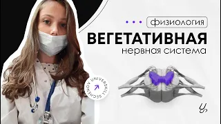 Нормальная физиология | Вегетативная нервная система