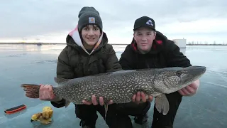 Fishing for Big Pike in Southern Alberta!