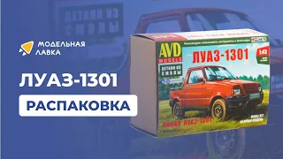 Сборная модель ЛУАЗ-1301. Распаковка