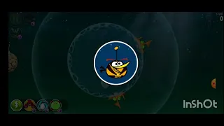 Shooting birds in space . Angry birds space.