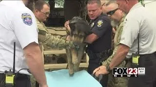 K9 officer honored in processional before being put to sleep | FOX23 News Tulsa