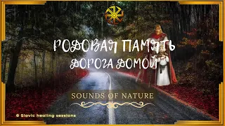 🎶 РОДовая ПАМЯТЬ ↯ Дорога домой ↯ Бинауральные Звуки дождя и грозы