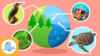 Habitat naturali ed ecosistemi - Raccolta - Scienza per bambini