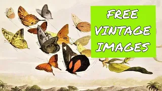 How to Find Free Public Domain Images