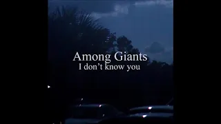 Among Giants - I Don’t Know You (N.O.P. Records - NOP015)