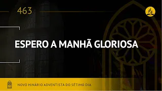 Novo Hinário Adventista • Hino 463 • Espero a Manhã Radiosa • (Lyrics)