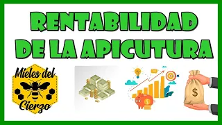 RENTABILIDAD DE LA APICULTURA. ¿ Es rentable? 🤔🤔🤔