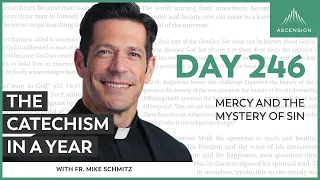 Day 246: Mercy and the Mystery of Sin — The Catechism in a Year (with Fr. Mike Schmitz)