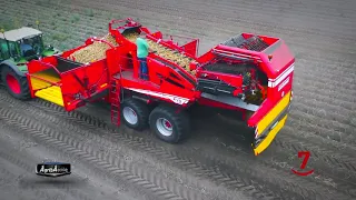 Cosechadora de patatas Grimme EVO 290 | Alfersan Maquinaria Agrícola