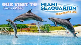 MIAMI SEAQUARIUM | CELEBRITYLOLITA THE KILLER WHALE,FLIPPER THE DOLPHIN,SALTY THE SEA LION and MORE!