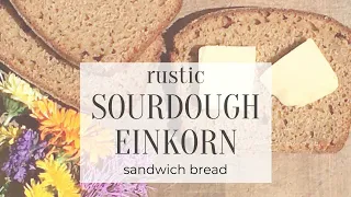 Rustic Einkorn Sandwich Bread