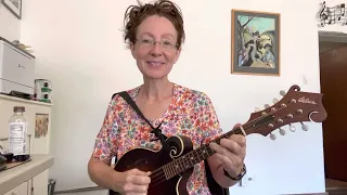 Mandolin Tutorial - You Are My Sunshine