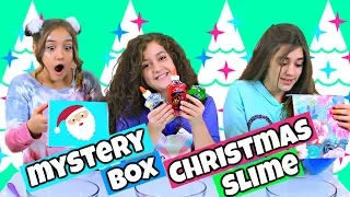 Mystery Box Christmas Slime Challenge!!