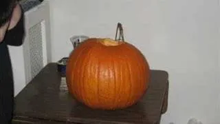 Attack of the killer pumpkin