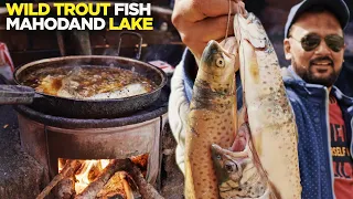 Asli Trout Fish, Mahodand Lake | Mission Trout 2 | Street Food, Travel Pakistan | Kalam, Swat Valley