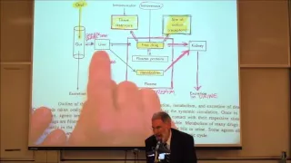 PHARMACOKINETICS; Absorption & Distribution by Professor Fink