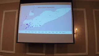 Differing movement patterns of walleye spawning stocks in Lake Erie.