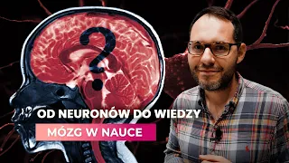 Od neuronów do wiedzy | Mózg w nauce