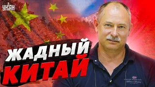 Сибирь и Дальний Восток уже де-факто китайские – Жданов