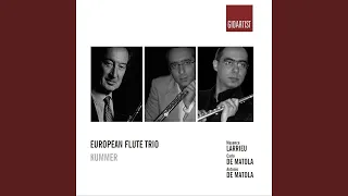 Flute Trio in G Major, Op. 24: II. Adagio sostenuto