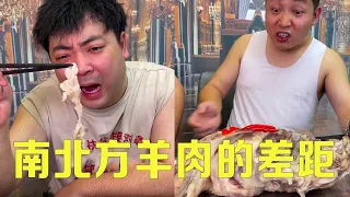 南方人吃羊肉vs北方人吃羊肉，南方人的大份害怕吃不完，上菜的時候人都懵了！ 【隔壁大哥與小李】