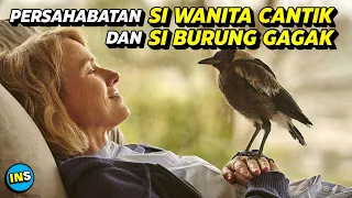 WANITA LUMPUH INI JADI JUARA DUNIA 2X BERKAT SI BURUNG GAGAK • Alur Cerita Film Sebelum Tidur