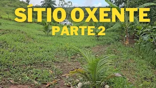 Um passeio pelo nosso sítio! Parte 2!