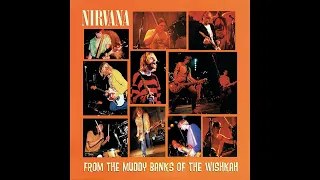 Nirva̲n̲a̲ - From the Muddy Banks of the Wishkah (Full Album) With Lyrics (2022)