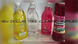 NEW DOLLAR TREE CLEANING SUPPLIES |AWESOME